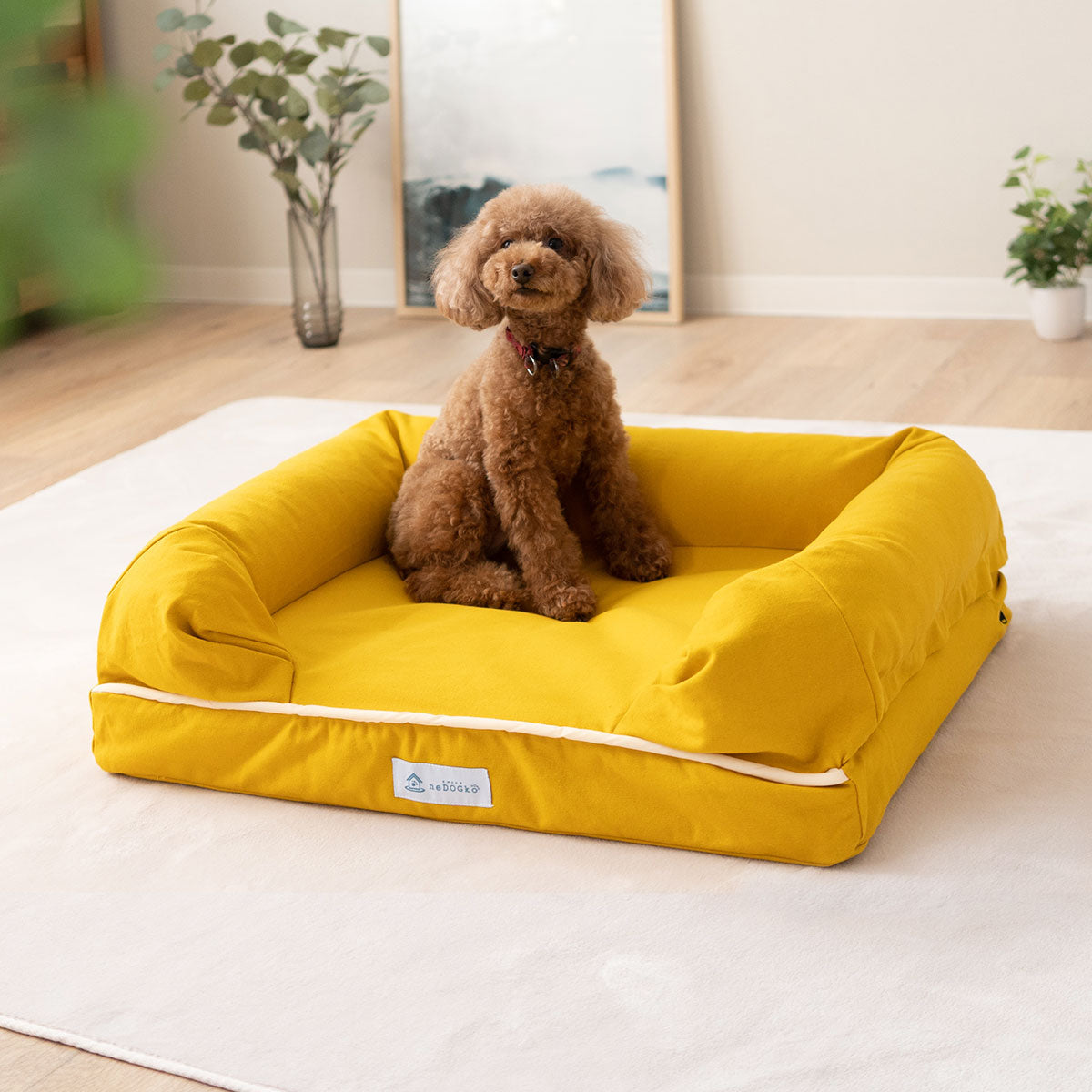 【ワンコnowa掲載】 年代に合わせて選ぶ 3Dベッド 本体＋洗い替え用カバーセット 成犬タイプ Mサイズ 超小型犬 小型犬 洗い替え付き