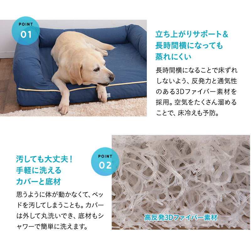 【ワンコnowa掲載】 年代に合わせて選ぶ 3Dベッド 本体＋洗い替え用カバーセット 成犬タイプ Mサイズ 超小型犬 小型犬 洗い替え付き