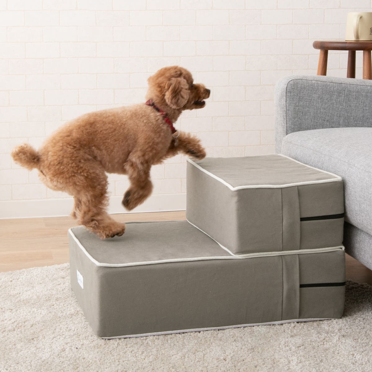 ドッグステップ 犬用ステップ 幅40cm ノーマルタイプ 小型犬 パピー シニア 折りたたみ ステップ スロープ 階段 踏み台 高齢犬 犬用 ペット用 ペットステップ ペットスロープ 段差解消 ケガ防止 介護用品 ペット用品