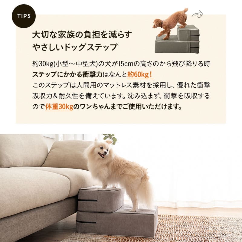 ドッグステップ ステップ スロープ 犬 ペット用 階段 ペットステップ