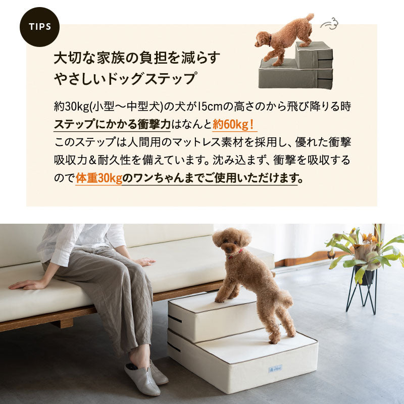 ドッグステップ 犬用ステップ 幅55cm ワイドタイプ 小型犬 パピー シニア 折りたたみ ステップ スロープ 階段 踏み台 高齢犬 犬用 ペット用 ペットステップ ペットスロープ 段差解消 ケガ防止 介護用品 ペット用品
