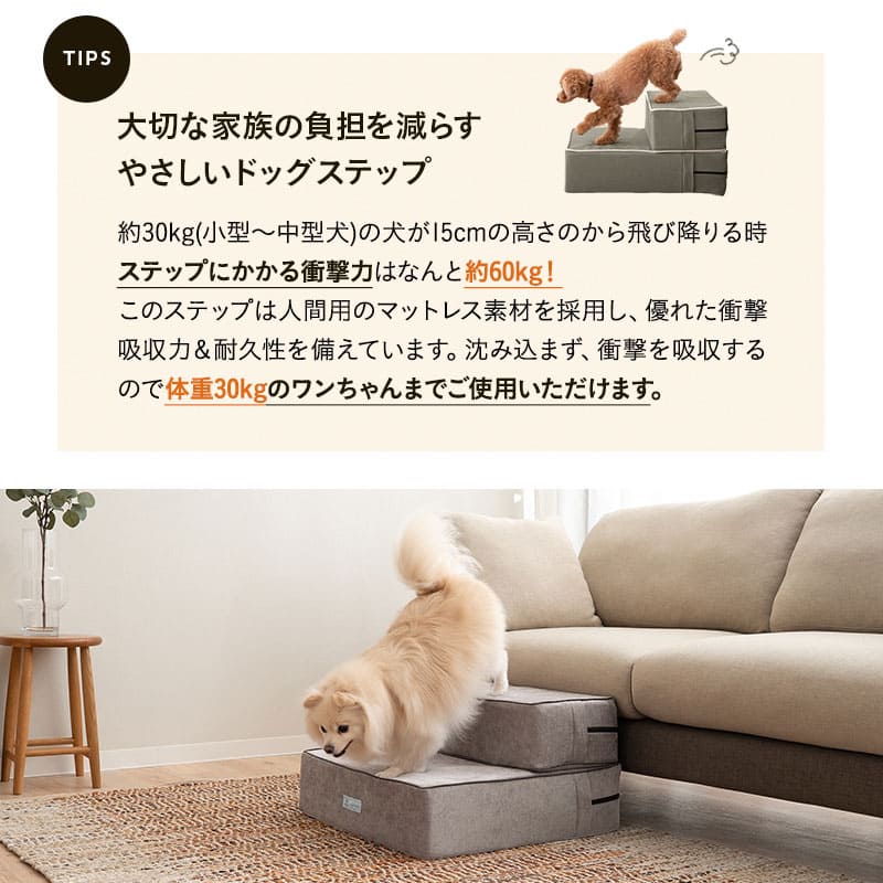 ドッグステップ 犬用ステップ 幅55cm ワイドタイプ 小型犬 パピー シニア 折りたたみ ステップ スロープ 階段 踏み台 高齢犬 犬用 ペット用 ペットステップ ペットスロープ 段差解消 ケガ防止 介護用品 ペット用品