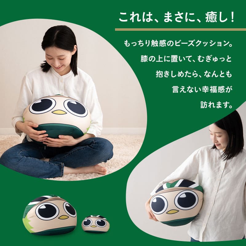 TOKYO VERDY × EMOOR 公式コラボ リヴェルン ビーズクッション 37×30cm ノーマルサイズ クッション 背もたれ マスコットキャラクター 東京ヴェルディ