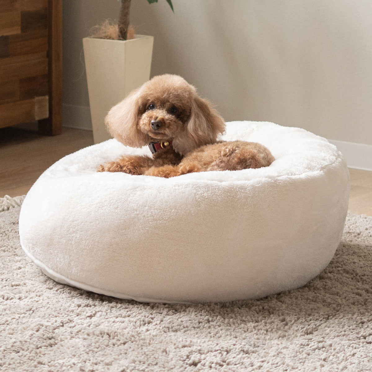 エムールヒートプラス ペット用 ベッド カドラー 犬 猫 小型 | 寝具