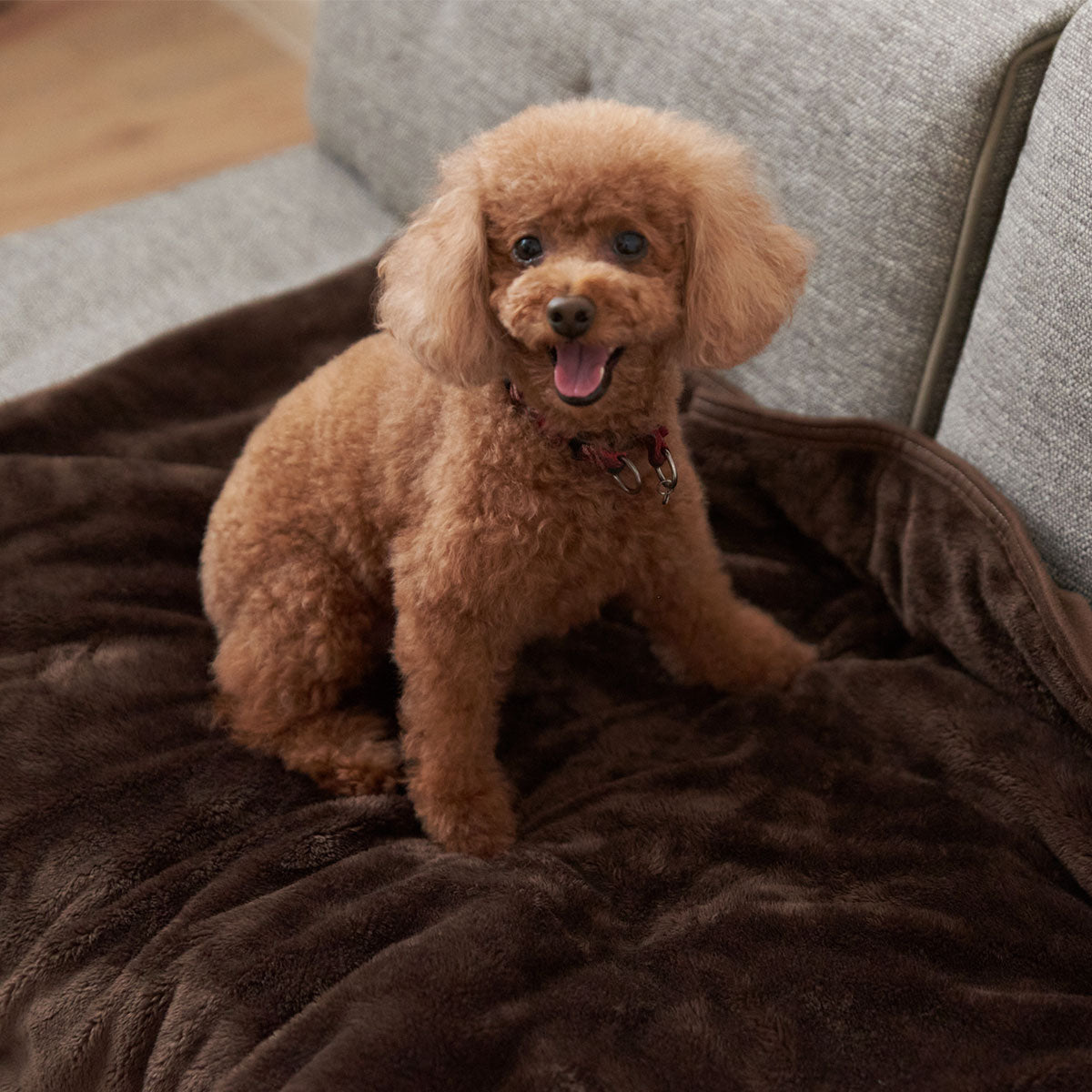 エムールヒートプラス ペット用 2枚合わせ毛布 Mサイズ ブランケット