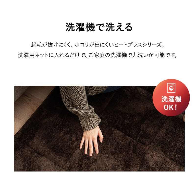 ラグ ラグマット 130×190cm カーペット 絨毯 敷きパッド 極暖 +4℃ 吸湿発熱 あったか 秋 冬 防寒対策 寒さ対策 冷え対策 長方形 約1.5畳 コンパクト