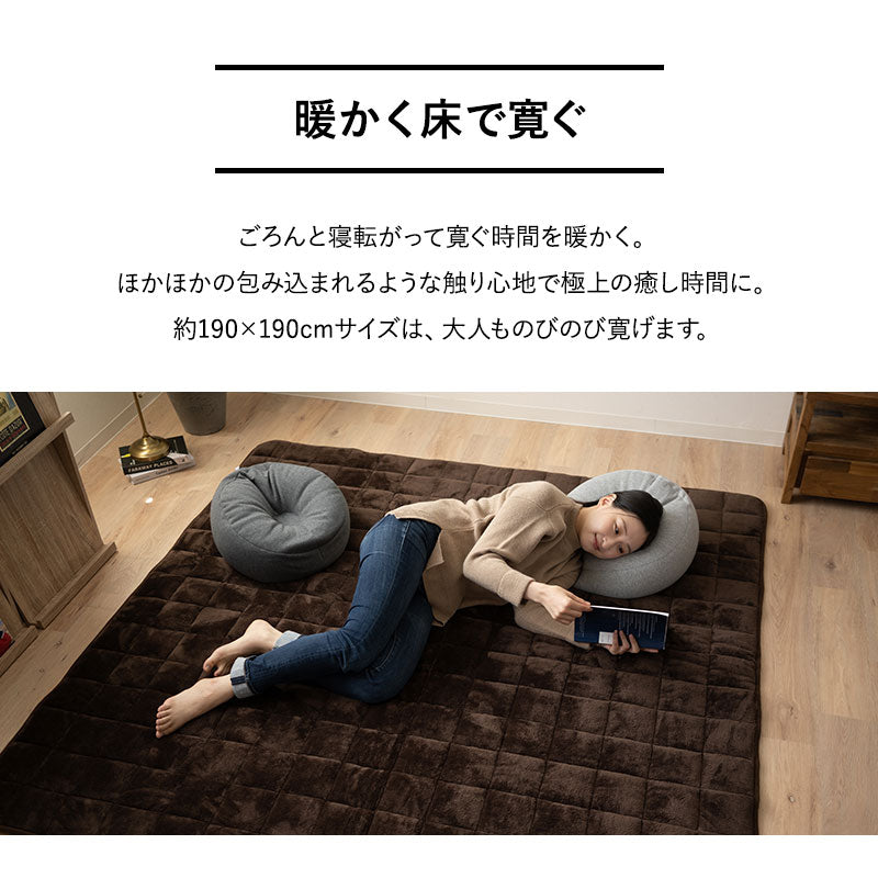 ラグ ラグマット 190×190cm カーペット 絨毯 敷きパッド 極暖 +4℃ 吸湿発熱 あったか 秋 冬 防寒対策 寒さ対策 冷え対策 正方形 約2畳