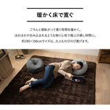 ラグ ラグマット 190×190cm カーペット 絨毯 敷きパッド 極暖 +4℃ 吸湿発熱 あったか 秋 冬 防寒対策 寒さ対策 冷え対策 正方形 約2畳