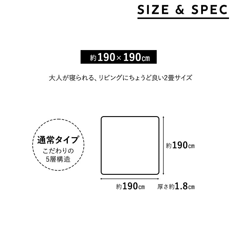 ラグ ラグマット 190×190cm カーペット 絨毯 敷きパッド 極暖 +4℃ 吸湿発熱 あったか 秋 冬 防寒対策 寒さ対策 冷え対策 正方形 約2畳