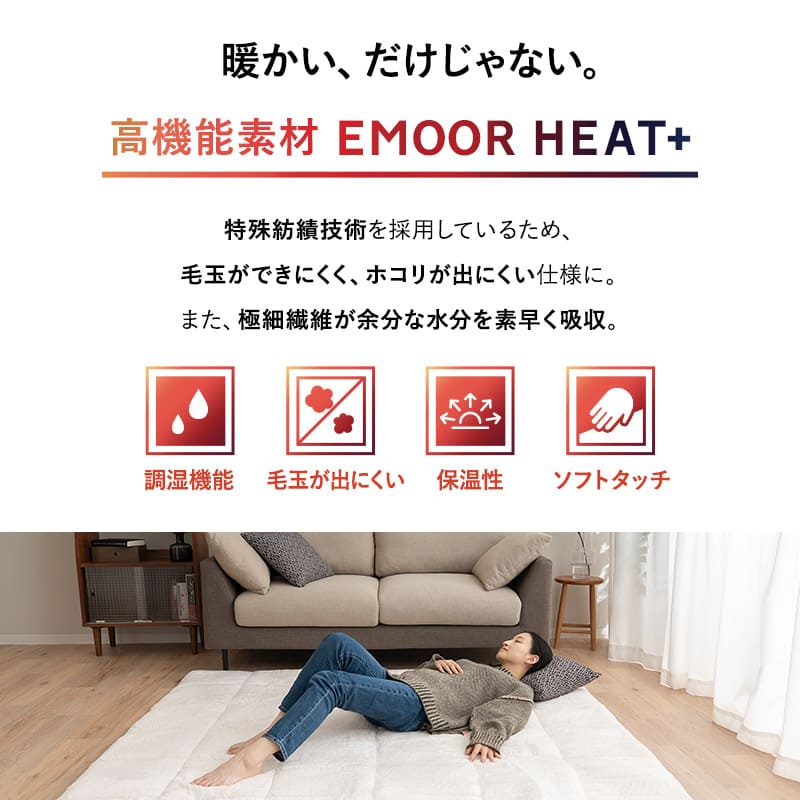 ラグ ラグマット 190×240cm カーペット 絨毯 敷きパッド 極暖 +4℃ 吸湿発熱 あったか 秋 冬 防寒対策 寒さ対策 冷え対策 長方形 約3畳 大判 大きい