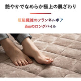 ラグ ラグマット 190×240cm カーペット 絨毯 敷きパッド 極暖 +4℃ 吸湿発熱 あったか 秋 冬 防寒対策 寒さ対策 冷え対策 長方形 約3畳 大判 大きい