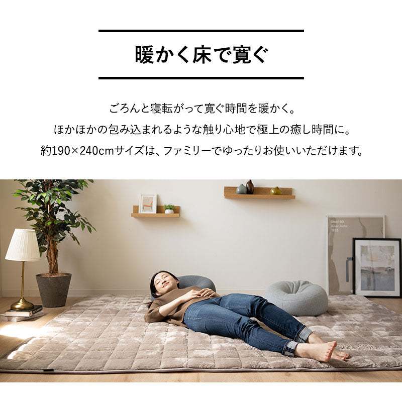 ラグ ラグマット 190×240cm カーペット 絨毯 敷きパッド 極暖 +4℃ 吸湿発熱 あったか 秋 冬 防寒対策 寒さ対策 冷え対策 長方形 約3畳