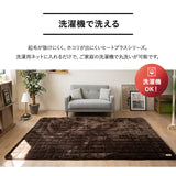 ラグ ラグマット 190×240cm カーペット 絨毯 敷きパッド 極暖 +4℃ 吸湿発熱 あったか 秋 冬 防寒対策 寒さ対策 冷え対策 長方形 約3畳