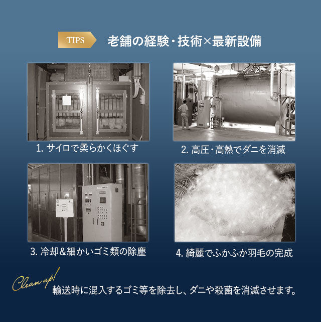羽毛布団 シングル 日本製 ロイヤルゴールドラベル ポーランド産ホワイトダックダウン93％ 非圧縮 新合繊生地使用 軽量 収納ケース付き ループ付き