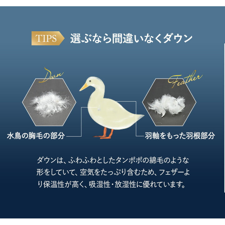 2枚合わせ 羽毛布団 キング 日本製 ロイヤルゴールドラベル ポーランド産ホワイトダックダウン93％ 非圧縮 新合繊生地使用 軽量 二枚合わせ 収納ケース付き ループ付き