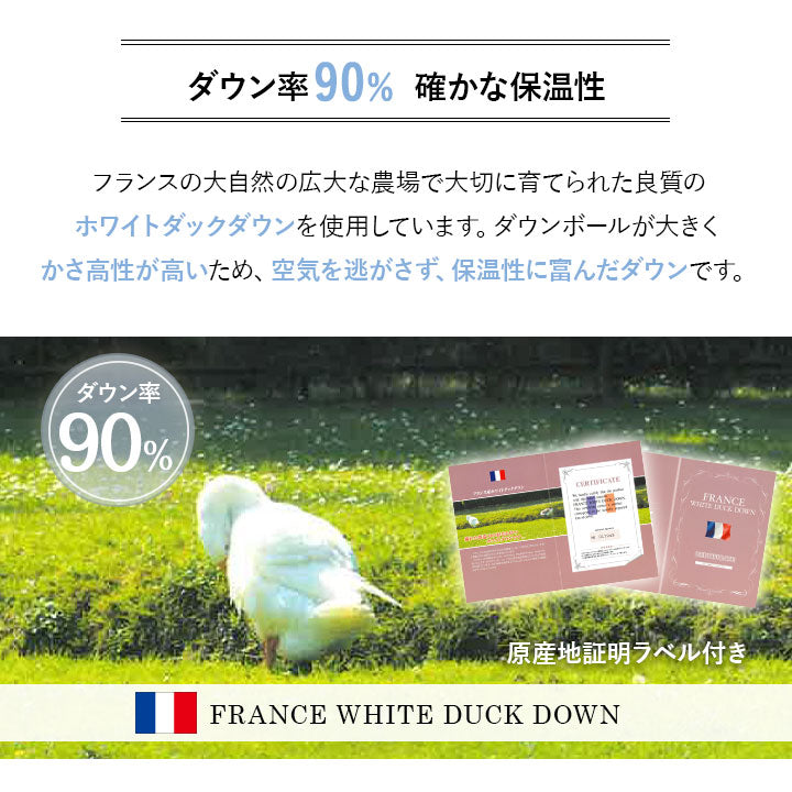 羽毛肌掛け布団 クイーン 日本製 エクセルゴールドラベル ダウンケット 羽毛布団 フランス産ホワイトダックダウン90％ 非圧縮 新合繊生地使用 軽量 収納ケース付き ループ付き
