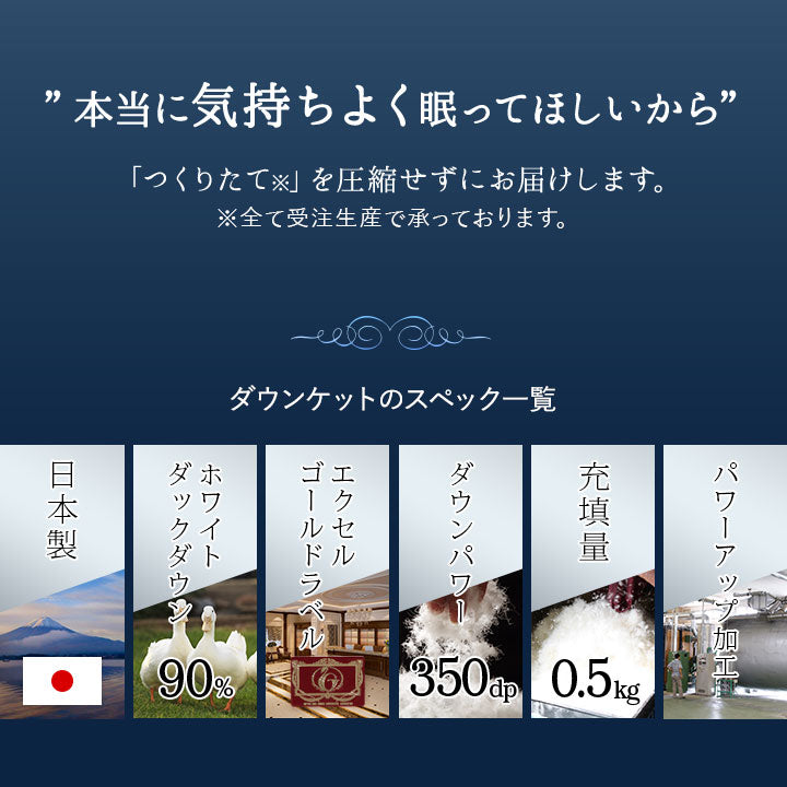 羽毛肌掛け布団 ダブル 日本製 エクセルゴールドラベル ダウンケット 羽毛布団 フランス産ホワイトダックダウン90％ 非圧縮 新合繊生地使用 軽量 収納ケース付き ループ付き