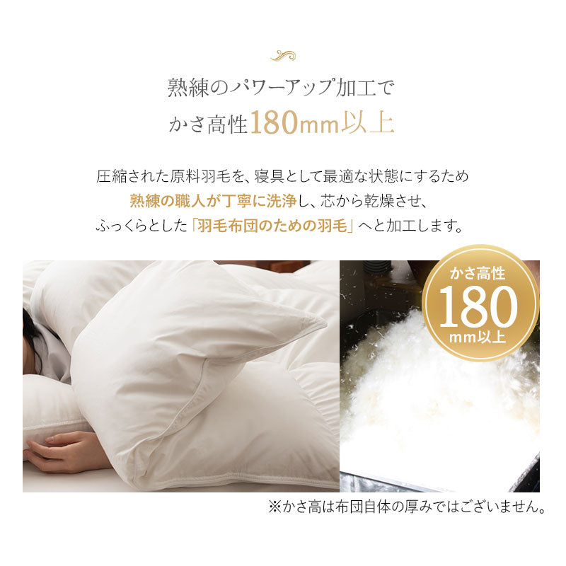 羽毛布団 クイーン 日本製 プレミアムゴールドラベル ポーランド産ホワイトグースダウン95％ 非圧縮 ハイブリッド新合繊生地使用 軽量 収納ケース付き ループ付き