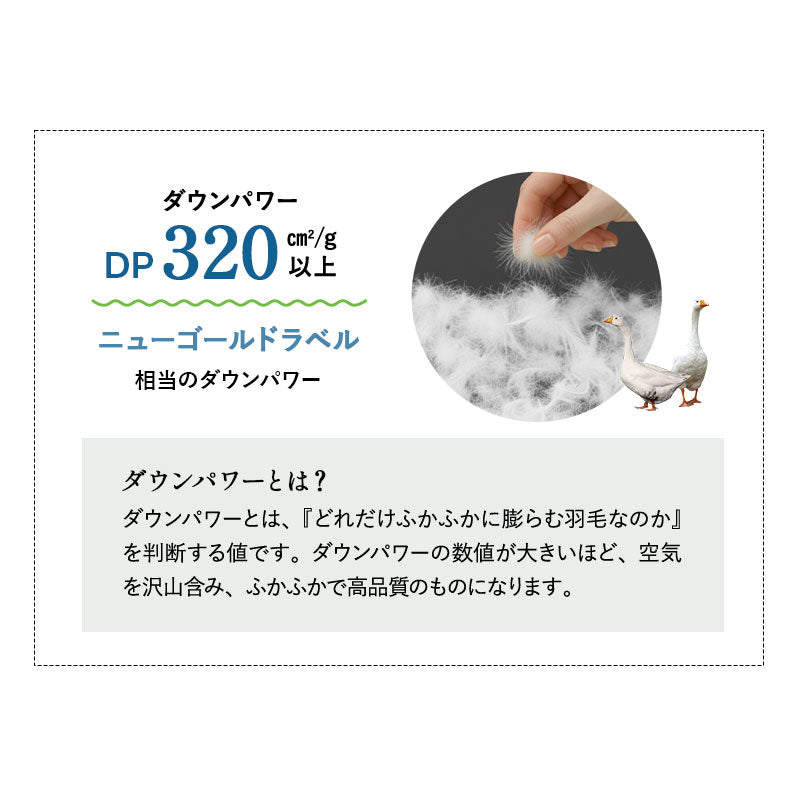 肌掛け布団 羽毛布団 リサイクル羽毛 再生羽毛 清潔 軽量 高品質 掛け布団 ダウンケット 収納ケース付き ループ付き 冷え エアコン 冷房 クーラー 春～秋 リサイクルダウン リサイクルフェザー 河田フェザー