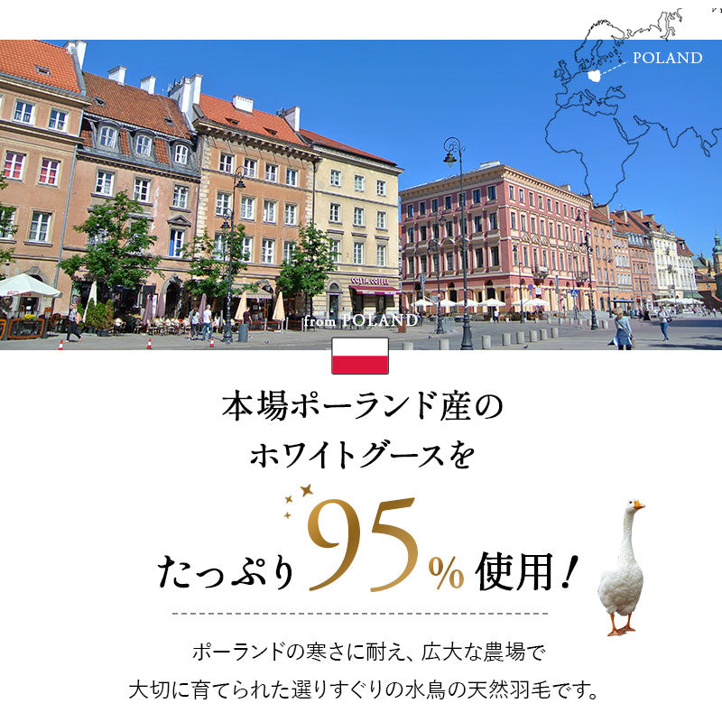 羽毛布団 キング 日本製 プレミアムゴールドラベル ポーランド産ホワイトグースダウン95％ 非圧縮 抗菌 防臭 収納ケース付き ループ付き