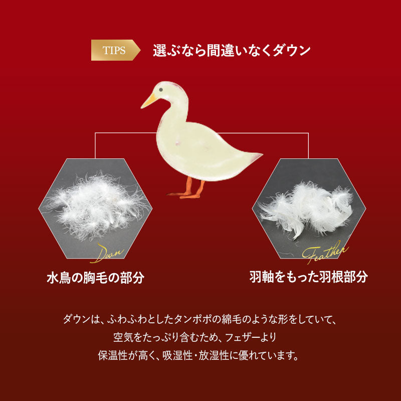 羽毛布団3点セット シングル （羽毛布団・敷き布団・枕） 日本製 エクセルゴールドラベル フランス産ホワイトダックダウン90％ 収納ケース付き 抗菌 防臭 防ダニ