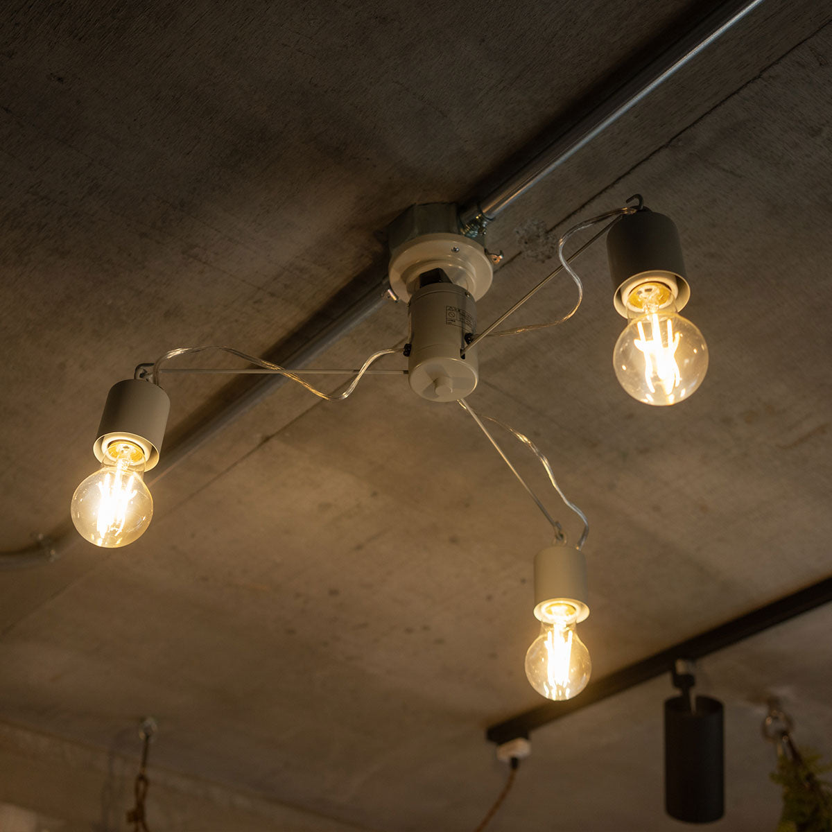 シーリングライト スポットライト 6畳 LED電球付き 1年保証付き