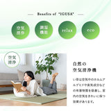 畳マット い草マット 幅70cm 正方形 4枚セット 6枚セット 天然い草 防カビ 消臭 空気洗浄 湿度調整 吸汗 滑り止め付き マット ラグ 敷物 下敷き 軽量 コンパクト 洋室 和室 敷くだけ