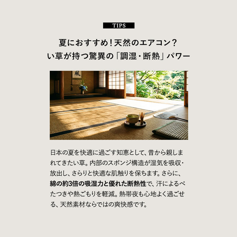ラグにもなる 畳マルチパッド シングル ダブル い草シーツ い草パッド 畳マット 寝ござ ラグ ゴムバンド付き ウレタン入り 消臭 調湿 吸汗 断熱 抗菌