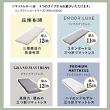 畳マット 敷き寝具 2点セット