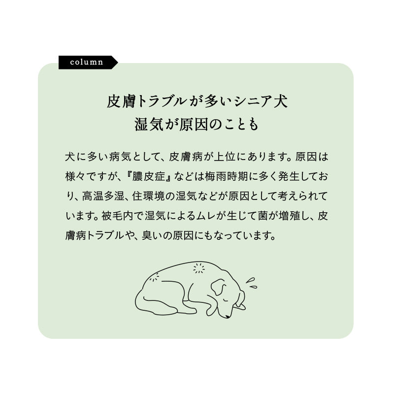 介護用 ドッグベッド 小型犬 中型犬 大型犬 シニア 枕付き 撥水カバー付き 低床 あご乗せ やわらか ドッグケアベッド 介護用ベッド ペットベッド ドッグベッド 老犬 高齢犬 犬用 ペット用 介護用品 ペット用品