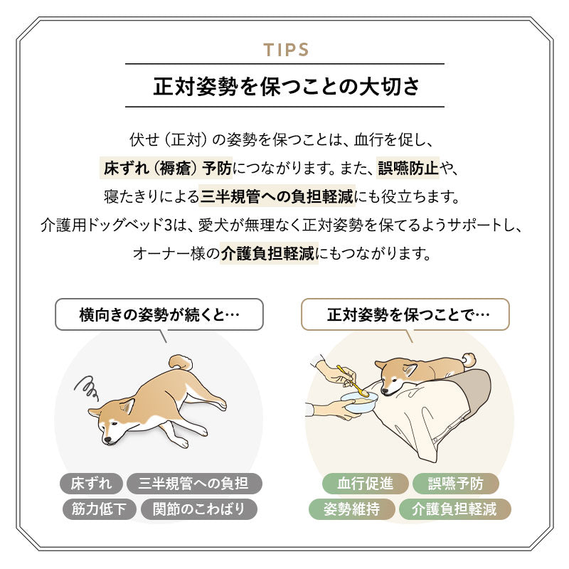 介護用 ドッグベッド 小型犬 中型犬 大型犬 シニア コの字型 汚れ防止カバー付き 防水カバー 介護用ベッド ペットベッド ドッグベッド 老犬 高齢犬 犬用 ペット用 姿勢維持 床ずれ防止 誤嚥防止 寝たきり 介護用品 ペット用品