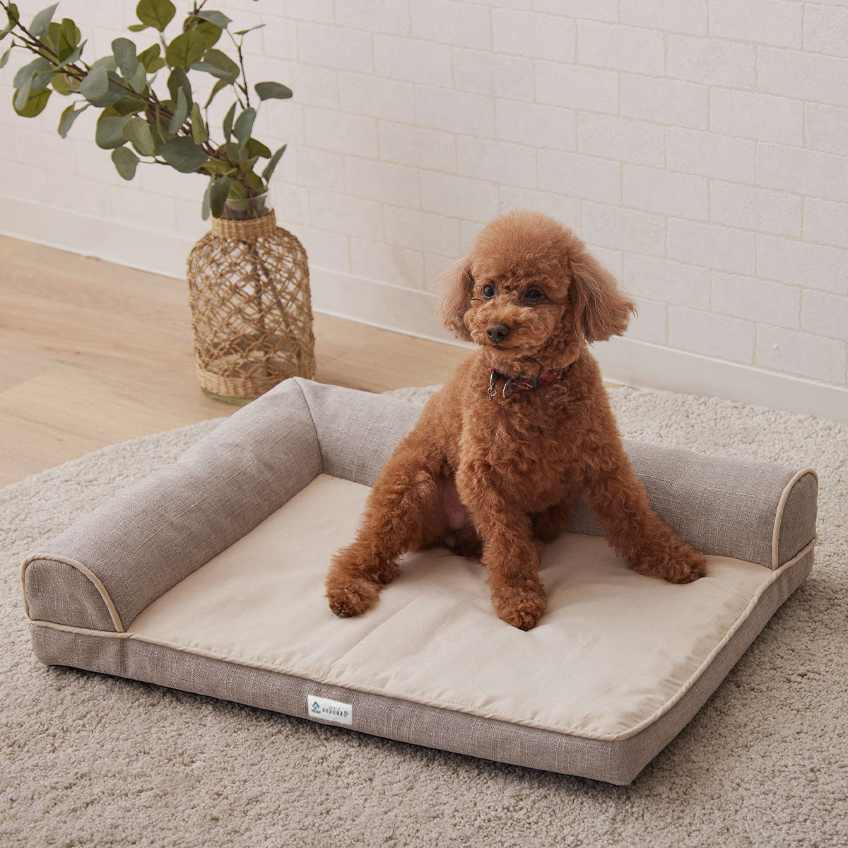 介護用 カウチベッド 中型犬 シニア L字型 低床 あご乗せ 滑り止め付き 介護用ベッド ペットベッド ドッグベッド キャットベッド 老犬 高齢犬 犬用 猫用 ペット用 介護用品 ペット用品