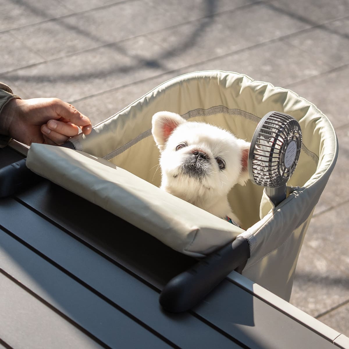 Uo・ェ・oU テリア様専用※テーブル Uo・ェ・oU テリア※テーブル Uo・ェ・