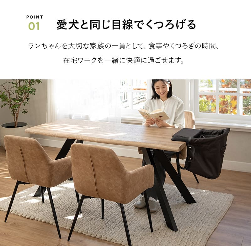 わんちゃん撮影用折りたたみ椅子 ワンちゃん用杉背もたれ付折りたたみ