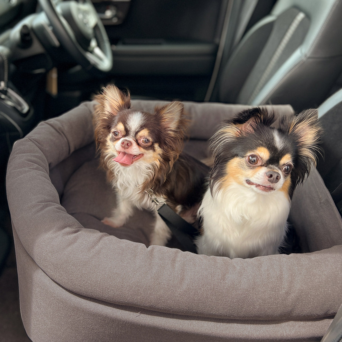 ドライブベッド 2頭対応 ゆったり ダブル ペットソファ カーベッド ペットシート ペットベッド ペット用 ドライブボックス 犬 猫 小型犬用 いぬ ねこ お出かけ 座席シート