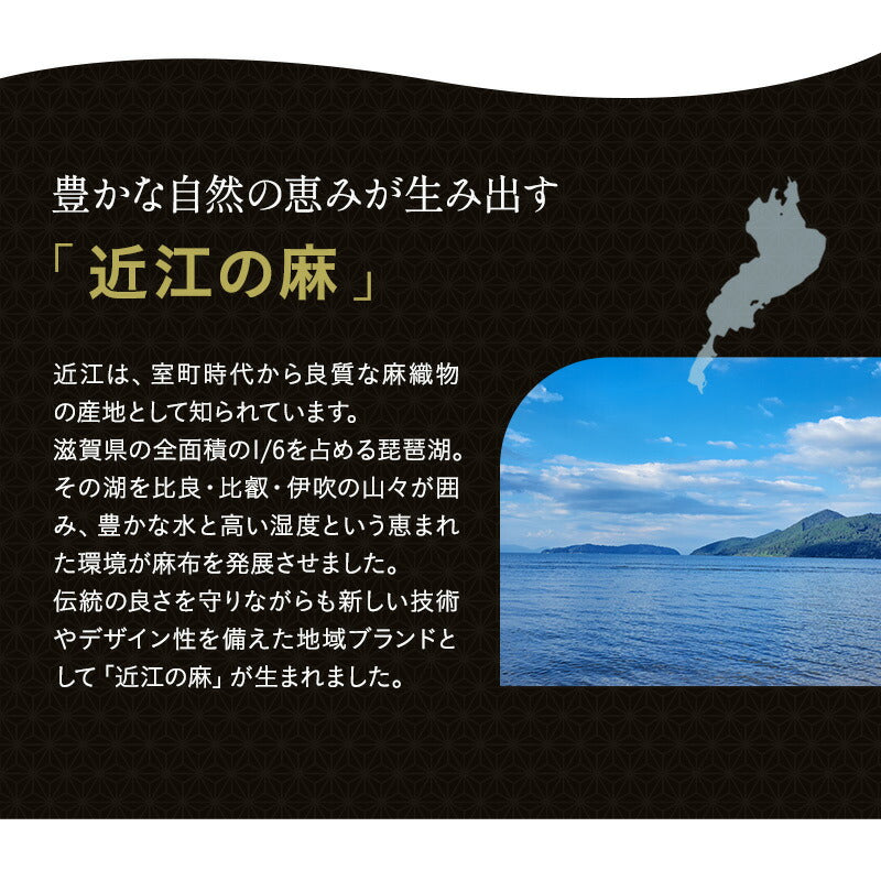 そばがら枕 そば殻枕 日本製 そばがら 近江の麻 天然素材 高さ調節可能 長方形 かため 吸湿発散 通気性 抗菌作用 ごろ寝枕 昼寝枕 テレビ枕
