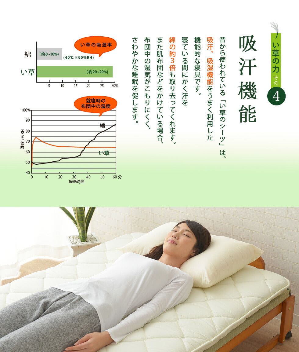 い草畳の折りたたみベッド  日本製