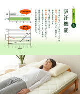 い草畳の折りたたみベッド  日本製