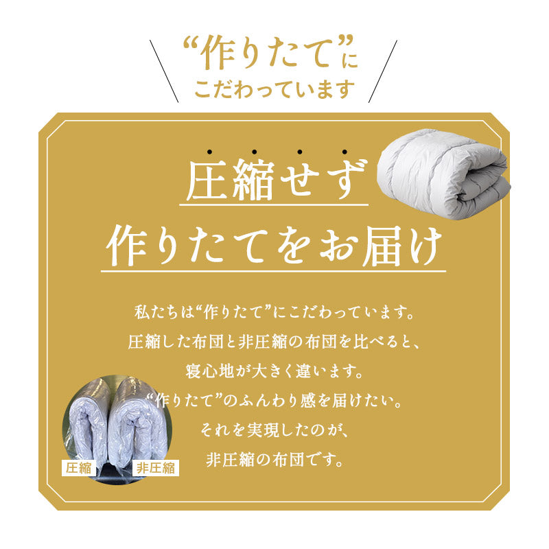 掛け布団 シングルサイズ 日本製 抗菌 防臭 防ダニ 非圧縮タイプ オールシーズン用