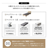 居間になる畳ベッド 選べるマットレス 2点セット ( #101 ジャストフレーム フラットタイプ ) セミダブル