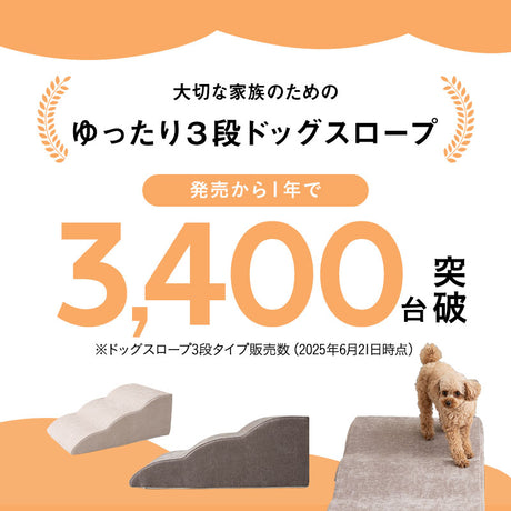 ドッグスロープ 3段 幅45cm 小型犬 パピー シニア スロープ ステップ 階段 踏み台 短足犬 老犬 高齢犬 犬用 ペット用 犬用スロープ ペットスロープ ペットステップ 段差解消 ケガ防止 介護用品 ペット用品