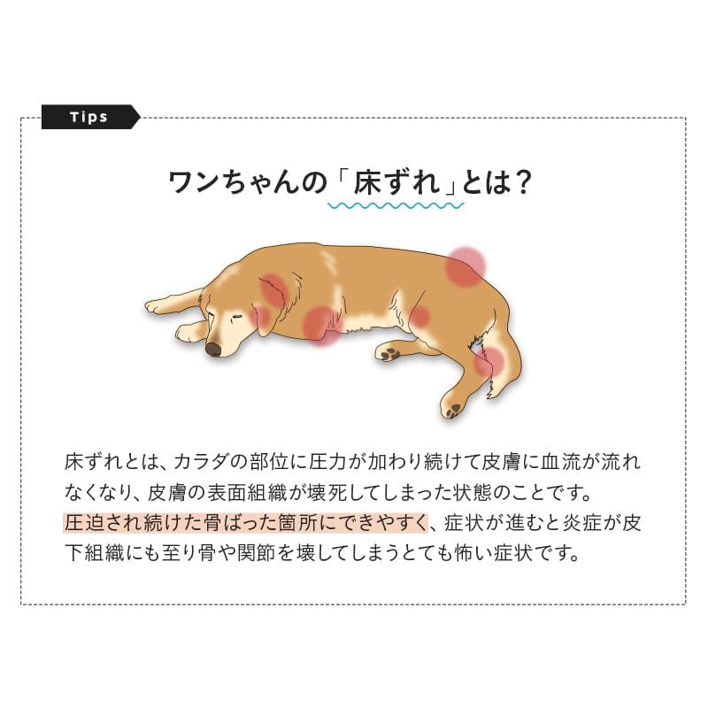 犬用 猫用 介護用マット ロングサイズ ペット用 マットレス 床ずれ防止