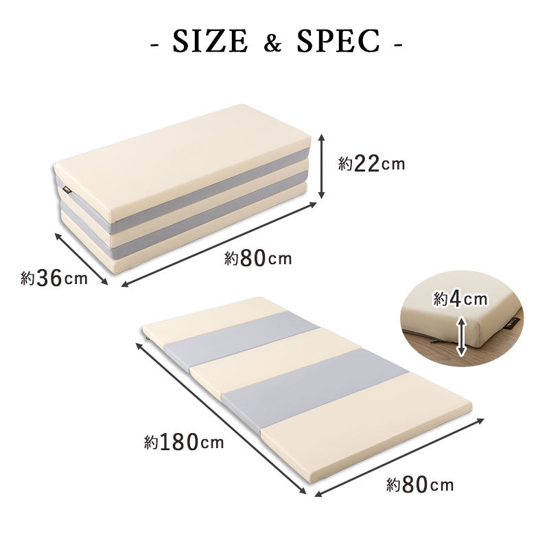 professorプレイマット　第3世代 プロフェッサープログラム 第3世代 ホウエン地方 （2019年版