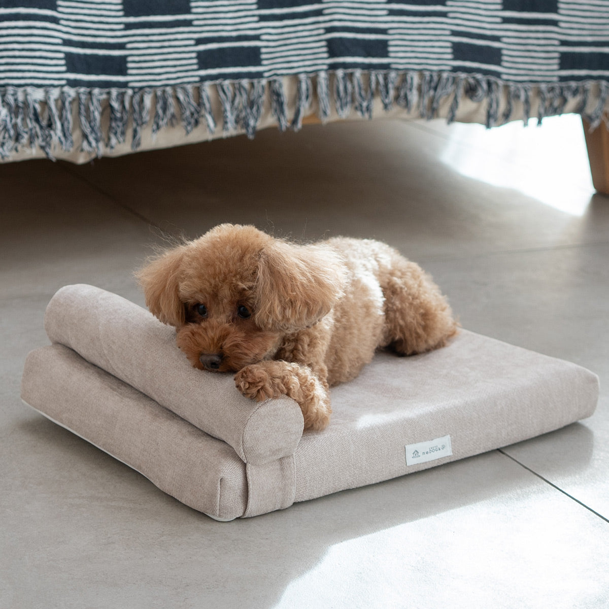 愛犬専用 体圧分散 プレミアム ドッグ マットレス 枕が 動かせる 低床 ロー ペットベッド カドラー 洗える まくら あご乗せ