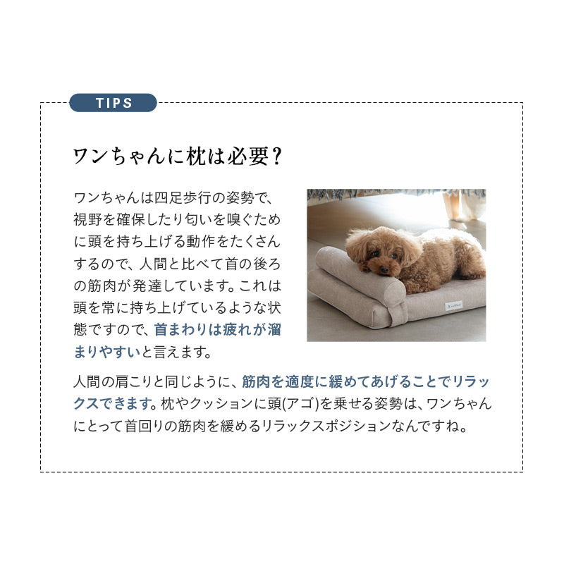 愛犬専用 体圧分散 プレミアム ドッグ マットレス 枕が 動かせる 低床