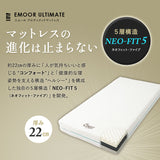 EMOOR ULTIMATE MATTRESS アルティメットマットレス シングル ダブル フラットタイプ 一枚もの 超極厚 22cm 高反発ウレタン 5層構造
