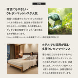 EMOOR ULTIMATE MATTRESS アルティメットマットレス シングル ダブル フラットタイプ 一枚もの 超極厚 22cm 高反発ウレタン 5層構造
