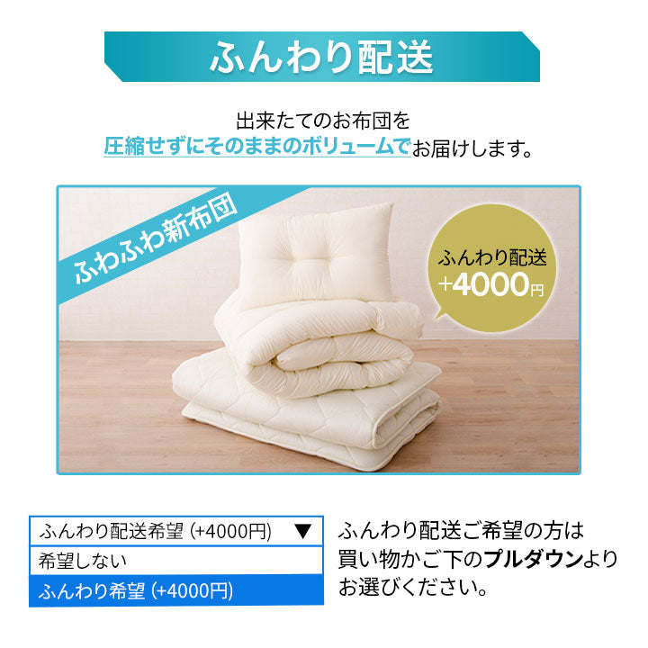 掛け布団 日本製 防ダニ 布団6点セット シングルサイズ 『クラッセゼロ