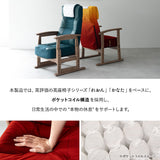 JR東日本コラボ 山形新幹線 E8系 ポケットコイル 高座椅子 普通席デザイン グリーン席デザイン 無段階リクライニング 肘付き 座面高調節可 チェア