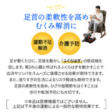 【座ステップ】 電動アシスト機能付き 健エクササイズマシン 康器具 座ったまま トレーニング フィットネス ながら運動 有酸素運動 ロコモ対策